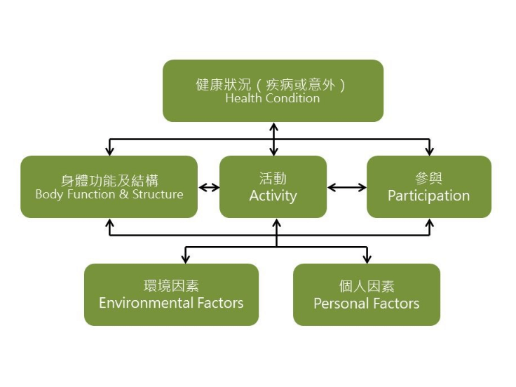 唯心運動醫療體系：解析疼痛拼圖理論，透過物理治療評估解開身體失衡的真相