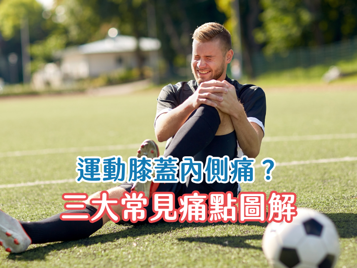 膝蓋內側痛怎麼辦？唯心運動醫療體系物理治療師圖解鵝足腱炎、內側副韌帶與半月板損傷差異
