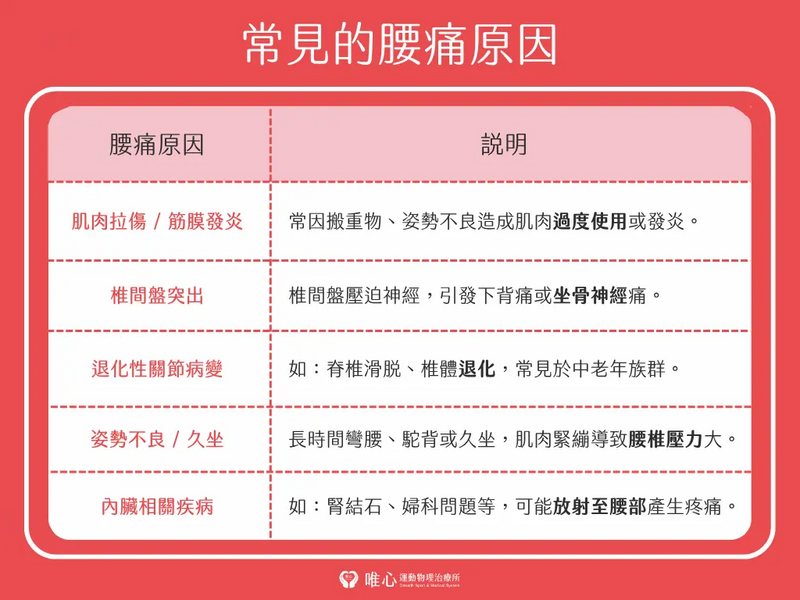 唯心運動醫療體系:專業腰痛原因診斷分類圖,解析神經、骨骼與肌肉引起的下背痛臨床症狀