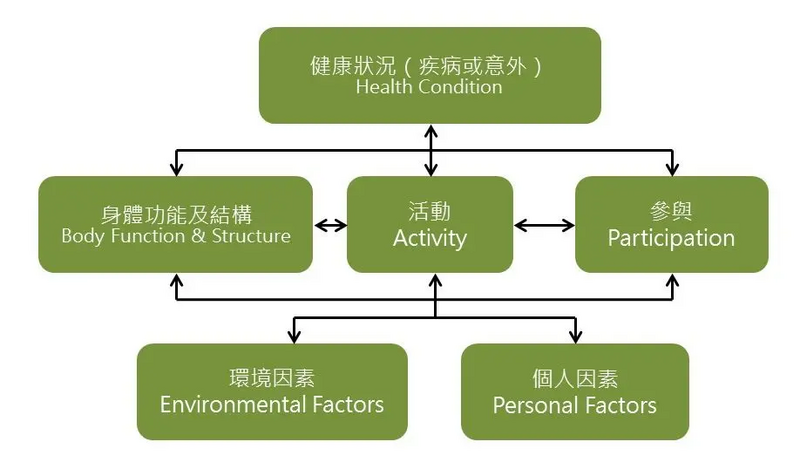 唯心運動醫療體系:解析疼痛拼圖理論,透過物理治療評估解開身體失衡的真相